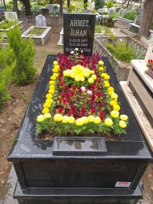 Dijital Mezar Peyzaj Bakım Hizmeti IV